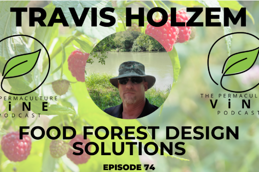 travis holzem on the permaculture vine podcast episode 73