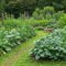 A vibrant and diverse sustainable food garden with various vegetables and herbs growing in raised beds